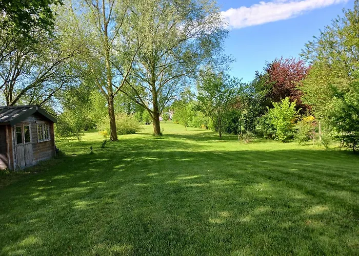 Couette-café Tara Luigne